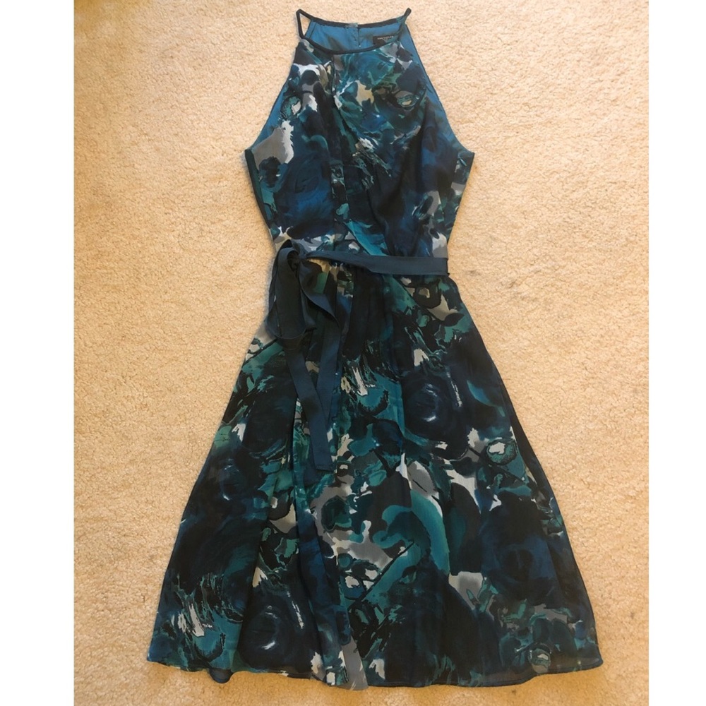 Gorgeous Ann Taylor dress (size 4)